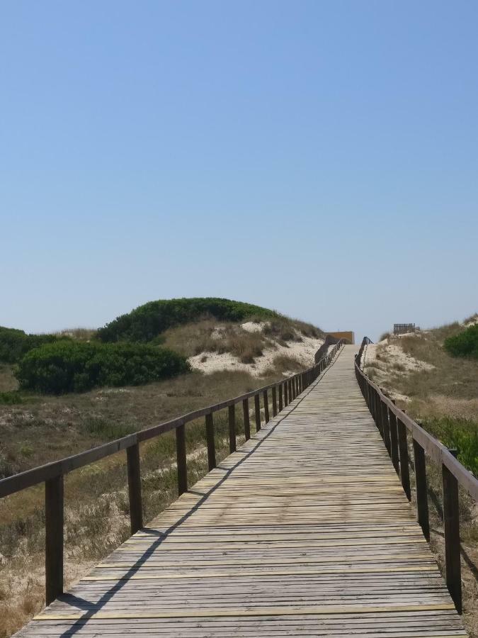 Apartmán Casa Da Ilha Dos Ovos Aveiro Exteriér fotografie