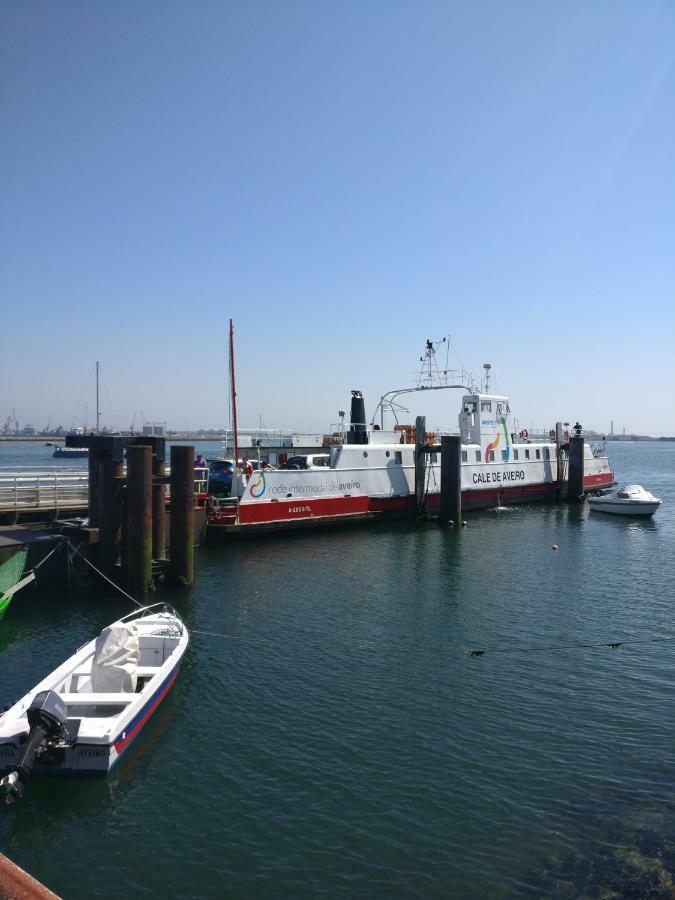 Apartmán Casa Da Ilha Dos Ovos Aveiro Exteriér fotografie