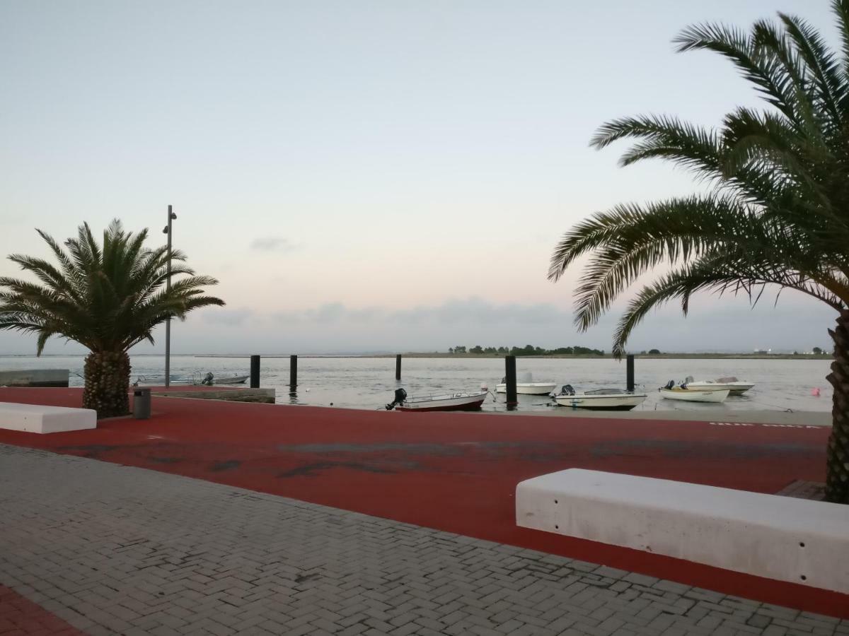 Apartmán Casa Da Ilha Dos Ovos Aveiro Exteriér fotografie